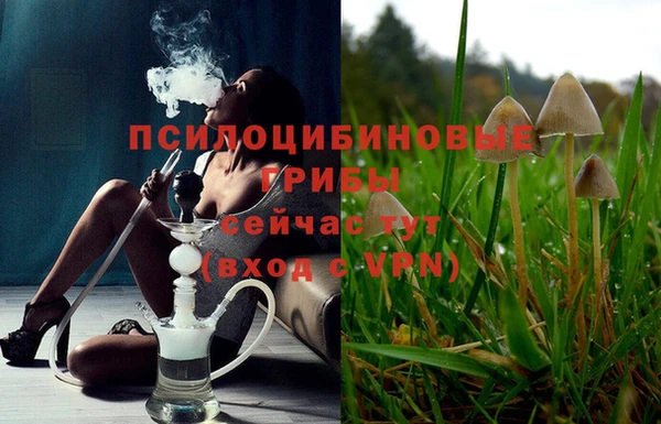 крисы Белоозёрский