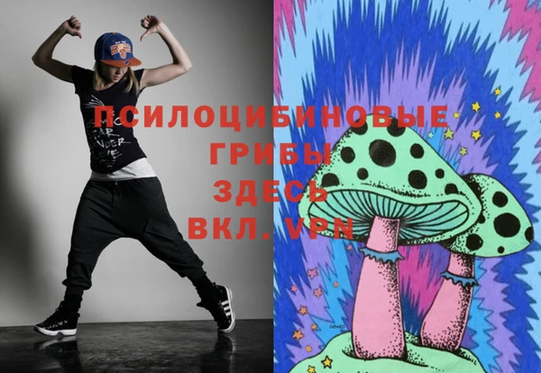крисы Белоозёрский