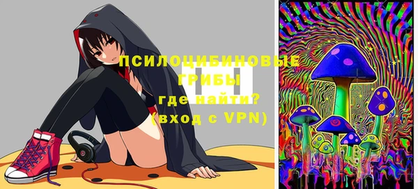крисы Белоозёрский