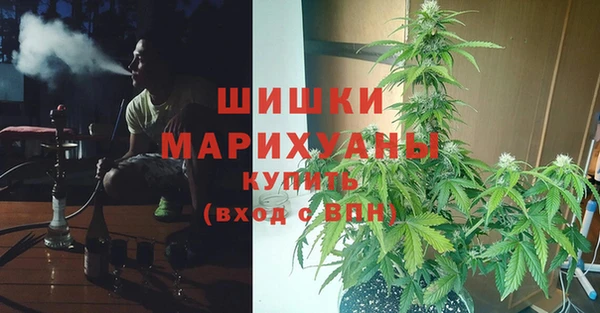 крисы Белоозёрский