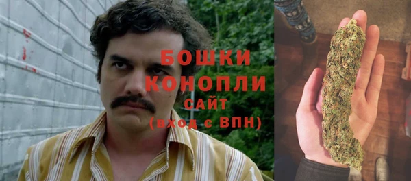 крисы Белоозёрский