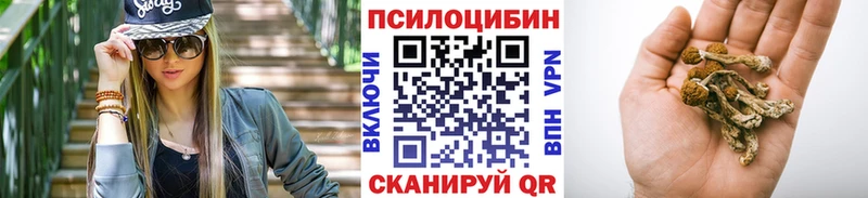 Псилоцибиновые грибы мицелий KRAKEN маркетплейс Городовиковск